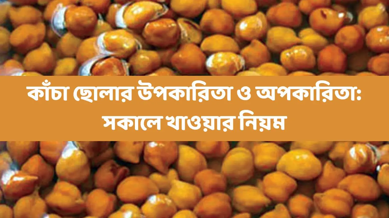 Add a heading 2 sqtipsbd,doctor list in bangladesh,game review,best doctor list in bangladesh,doctors in bangladesh